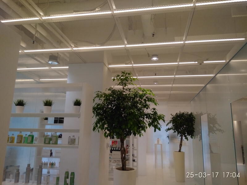 Потолок сетка заказать Потолок сетка заказать